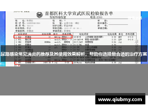 尿路感染常见消炎药推荐及其使用效果解析，帮助你选择最合适的治疗方案